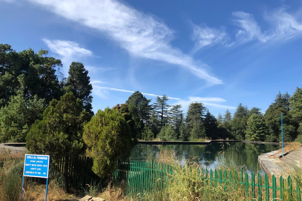 Jim Corbett Jungle Safari