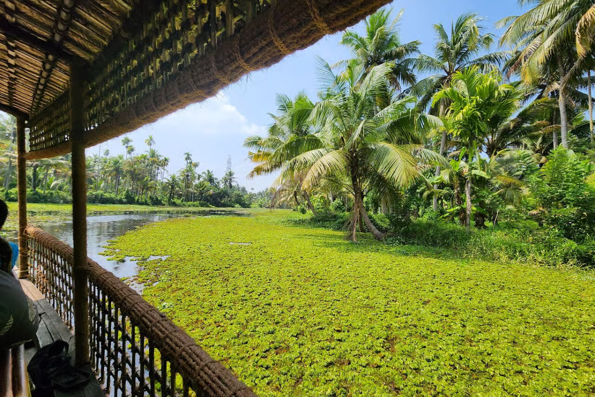 Kerala Scenic Backwater Tour